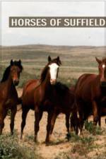 Watch Horses of Suffield FMoviesFree