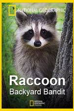 Watch Raccoon: Backyard Bandit FMoviesFree