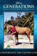 Watch Cristobalito the Calypso Colt FMoviesFree