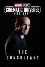 Watch Marvel One-Shot: The Consultant FMoviesFree