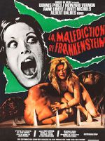 Watch The Erotic Rites of Frankenstein FMoviesFree