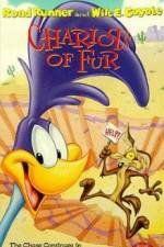 Watch Ready Woolen and Able FMoviesFree