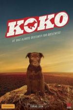 Watch Koko: A Red Dog Story FMoviesFree