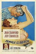 Watch Female on the Beach FMoviesFree