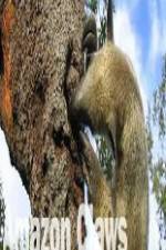 Watch National Geographic Wild Amazon Claws FMoviesFree