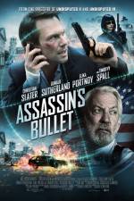 Watch Assassin's Bullet FMoviesFree
