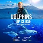 Watch Dolphins Up Close with Bertie Gregory (TV Special 2025) FMoviesFree