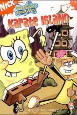 Watch SpongeBob SquarePants Whale of a BirthdayKarate Island FMoviesFree