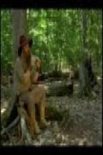 Watch The Goblin and the Woodsman FMoviesFree