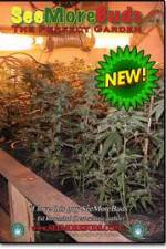 Watch SeeMoreBuds: Vol. 3 FMoviesFree