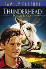 Watch Thunderhead - Son of Flicka FMoviesFree