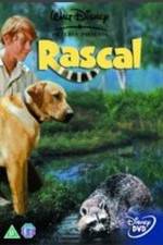 Watch Rascal FMoviesFree