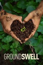 Watch Groundswell FMoviesFree