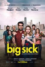 Watch The Big Sick FMoviesFree