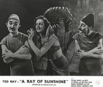 Watch A Ray of Sunshine: An Irresponsible Medley of Song and Dance FMoviesFree
