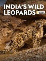 Watch India\'s Wild Leopards (Short 2020) FMoviesFree