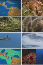 Watch National Geographic: Worlds Deadliest Animals - North America FMoviesFree