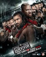 Watch WWE Survivor Series WarGames (TV Special 2024) FMoviesFree