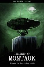 Watch Incident at Montauk FMoviesFree