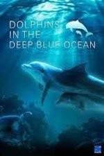 Watch Dolphins in the Deep Blue Ocean FMoviesFree