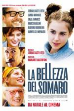 Watch La bellezza del somaro FMoviesFree