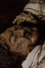 Watch The Separation FMoviesFree