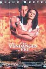 Watch A Walk in the Clouds FMoviesFree