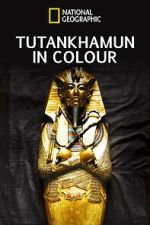 Watch King Tut in Color FMoviesFree
