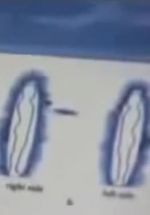 Watch Quantum Communication FMoviesFree