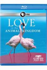 Watch Nature: Love in the Animal Kingdom FMoviesFree