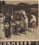 Watch Cornered FMoviesFree