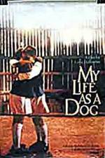 Watch My Life As A Dog FMoviesFree