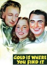 Watch Gold Is Where You Find It FMoviesFree