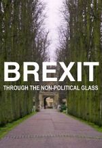 Watch Brexit Through the Non-Political Glass FMoviesFree