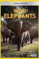 Watch War Elephants FMoviesFree
