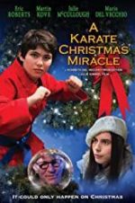 Watch A Karate Christmas Miracle FMoviesFree