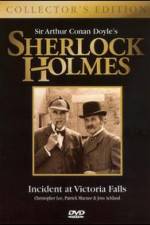 Watch Incident at Victoria Falls FMoviesFree