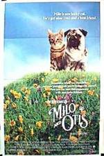 Watch Milo and Otis FMoviesFree