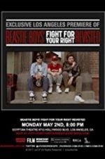Watch Beastie Boys: Fight for Your Right Revisited FMoviesFree