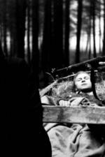 Watch Kocr do Vdne FMoviesFree