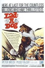Watch Lad: A Dog FMoviesFree
