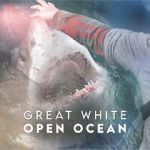 Watch Great White Open Ocean FMoviesFree
