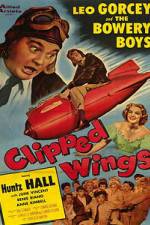 Watch Clipped Wings FMoviesFree