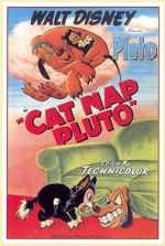 Watch Cat Nap Pluto FMoviesFree