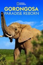 Watch Gorongosa: Paradise Reborn (Short 2022) FMoviesFree