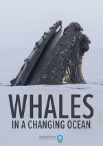 Watch Whales in a Changing Ocean (Short 2021) FMoviesFree
