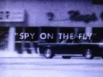 Watch Spy on the Fly (Short 1967) FMoviesFree