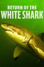 Watch Return of the White Shark FMoviesFree