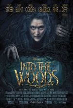 Watch Into the Woods FMoviesFree