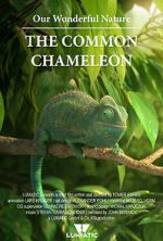 Watch Our Wonderful Nature - The Common Chameleon FMoviesFree